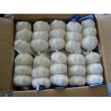 2015 China New Crop (puro / normal) White Fresh Garlic